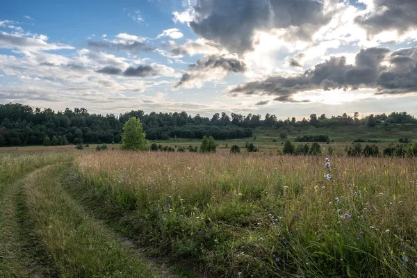 Špinavá Cesta Přes Pole Zarostlé Vysokou Trávou Podsvícenými Mraky — Stock fotografie