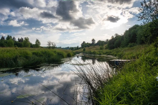 Small Overgrown Sunzha River Sunny Summer Day Ivanovo Region Russia — Stock Photo, Image