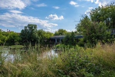 Samoilovsky Köprüsü, Uvod Nehri üzerindeki yemyeşil çalılar ve ağaçlarla dolu yaz gününde, Ivanovo, Rusya. 