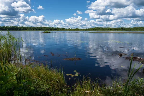 Forest Lake White Cumulus Clouds Reflecting Water Summer Sunny Day — Stock Photo, Image