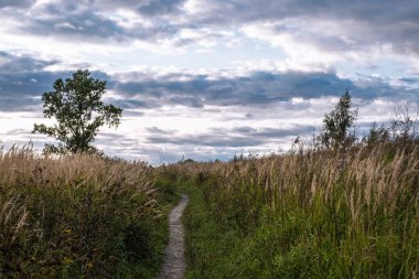 Uzun, kuru otlarla kaplı bir patika ve bir sonbahar gününde bulutlu bir gökyüzü..