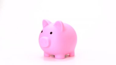 Pembe kumbaradan tasarruf ediyoruz. Beyaz arka plandaki domuz kumbarasına para koyuyor. 4k, 1080, FHD, full HD.