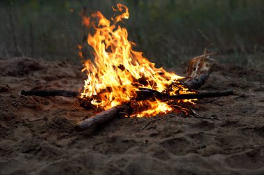 Ormanda şenlik ateşi