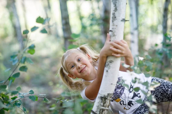 Young Cute White Girl Long Blond Hair Birch Forest Royalty Free Stock Images