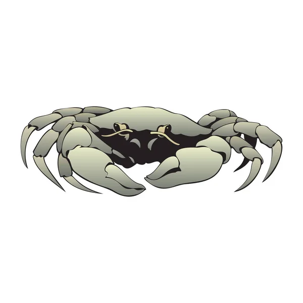 Desene Animate Amuzante Crab Pentru Tine Design — Vector de stoc