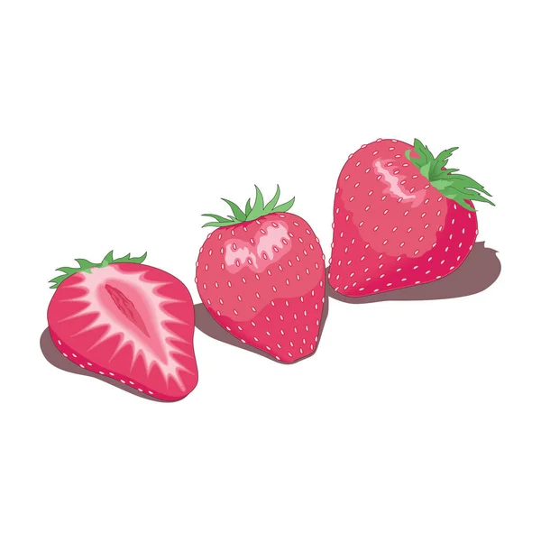 Φράουλα απομονωμένη σε λευκό φόντο, διανυσματική απεικόνιση στο EPS10 — Διανυσματικό Αρχείο
