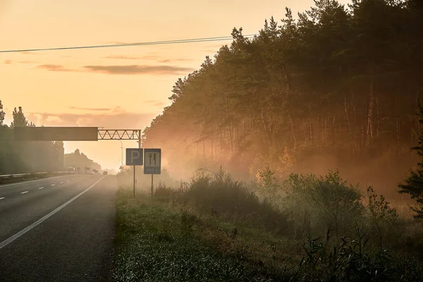 Freeway Coniferous Forest Road Signs Visible Morning Fog White Stripes — Stock Photo, Image