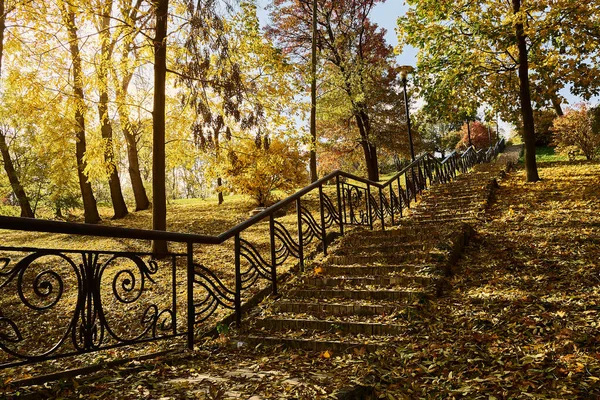 Stufen Mit Einem Metallgeländer Führen Den Park Hinauf Gelb Rote — Stockfoto