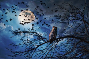 Bir baykuşun ağaç dalında oturduğu mistik bir gece sahnesi, gökyüzünde parlayan bir dolunay, ve dramatik bulutların üzerinde uçan bir kuş sürüsü..