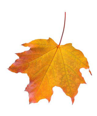 Kışın karla kaplı eski Sovyet tarzı bir apartman. Karlı balkonlar, buzlu pencereler ve soğuk hava donmuş bir şehir manzarası yaratır..