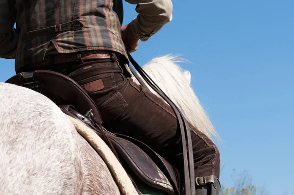 Beyaz bir ata binen adamlar. düşük açı görünümü
