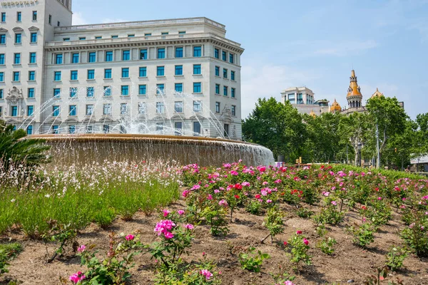 Ledare Maj 2018 Barcelonas Centrum Blommor Plaza Catalunya Spanien — Stockfoto