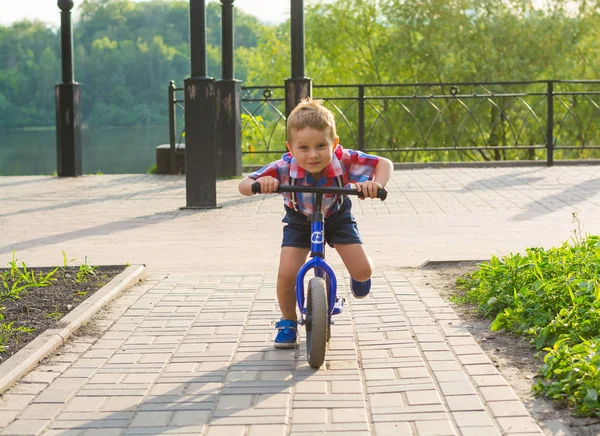 Маленький Мальчик Катается Велосипеде Парке Летом — стоковое фото