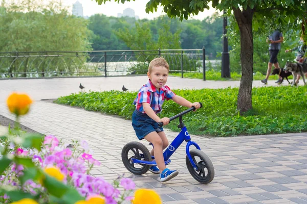 Маленький Мальчик Катается Велосипеде Языком Парке Летом — стоковое фото