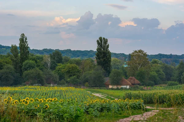 Landschaft Mit Alten Bauernhäusern Und Einer Kirche Grünen Feld Von — Stockfoto