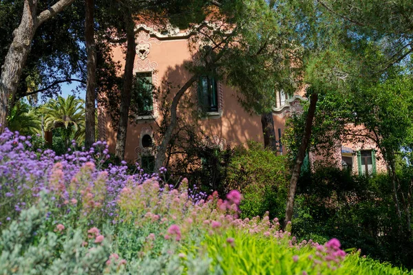 Çiçekler bir Gaudi'nin House-müzede Park Guell önünde. Barcelona, İspanya