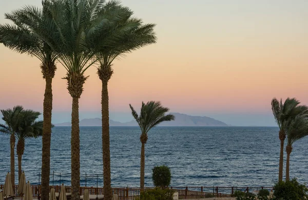 Dawn on the sea, mountains and palm trees