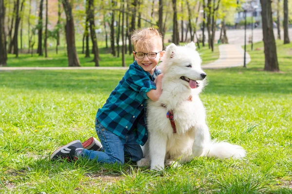 Trochę Hipster chłopiec w okularach przytulanie biały puszysty Samoyed pies — Zdjęcie stockowe