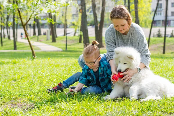 Mały chłopiec i jego mama grają z puszystym psem Samoyed i w t — Zdjęcie stockowe
