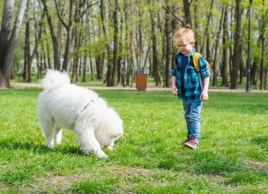 Gözlüklü küçük bir çocuk beyaz bir köpekle top oynuyor.. 