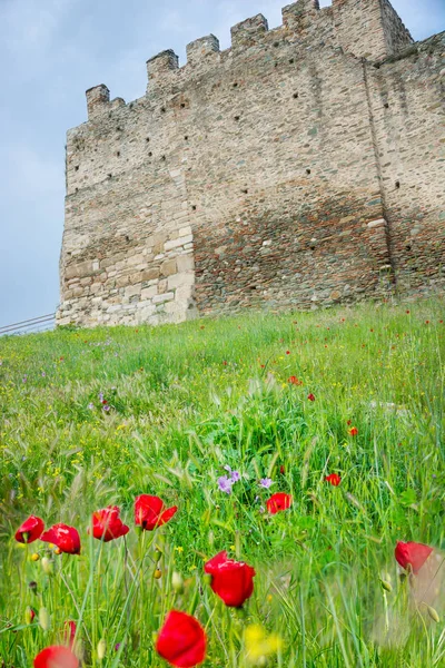 Poppies in the meadow at the Trigonion Tower in Thessaloniki, Gr — Stock Photo, Image