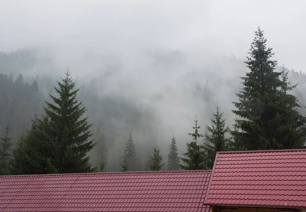 Tűlevelű Erdő Hegyekben Ködben Háztetők Felett — Stock Fotó