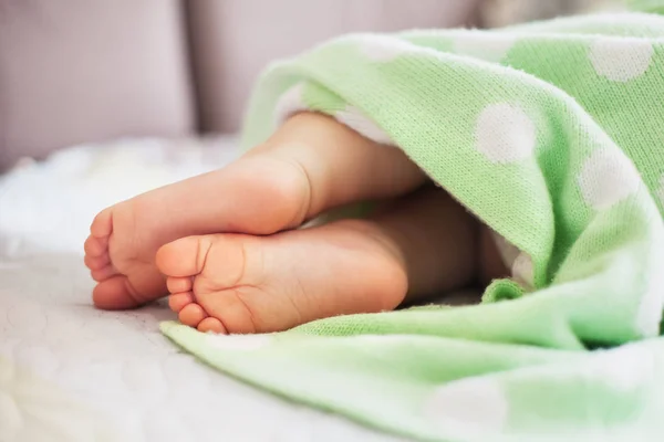 Little baby feet  wrapped in mint dotted blanket — Stock Photo, Image