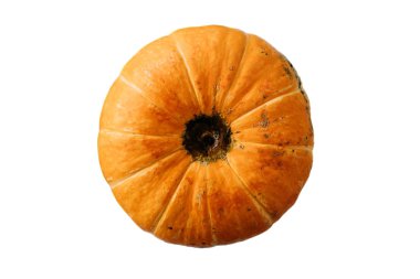 Basit turuncu yuvarlak kabak beyaz izole