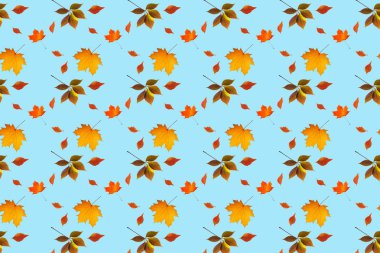 Sonbahar mavi arkaplanda pürüzsüz desen bırakır