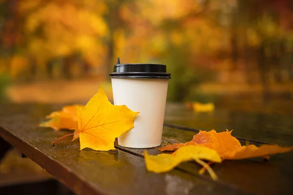 Kawa papierowa filiżanka z liśćmi klonu na mokrym drewnianym stole na zewnątrz — Zdjęcie stockowe