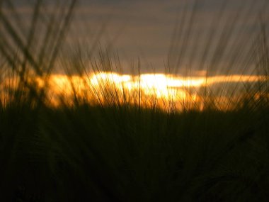 Sahada gün batımı. Alanın arkasında dramatik gökyüzü.