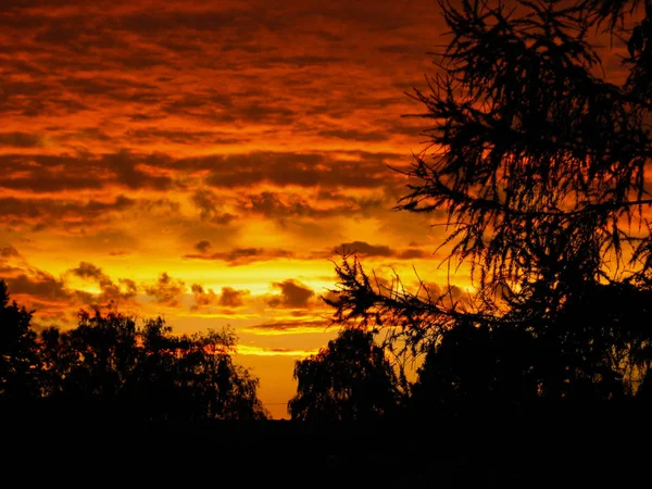 Piękne dramatyczne Niebo Zachód słońca za niektóre drzewa. — Zdjęcie stockowe