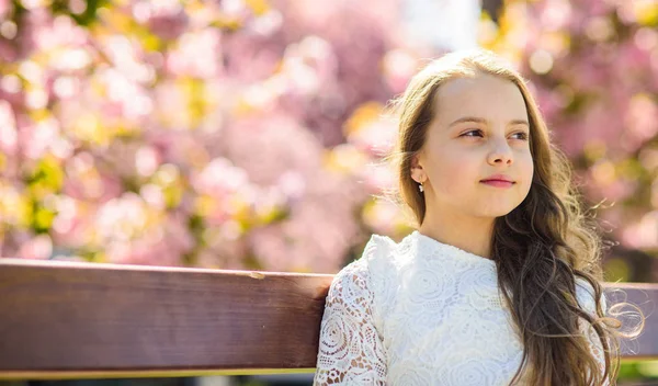 夢のような顔の女の子は、デフォーカスの背景に桜の木のベンチに座っています。長く美しい髪のかわいい子では、日当たりの良い春の日をお楽しみください。公園でリラックスした少女は、領域をコピーします。自然の美しさの概念 — ストック写真