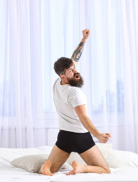 Guy stretching arms, full of energy in morning, rear view. Macho in underpants stretching, looking back and yawning. Man in shirt sits on bed, white curtains on background. Perfect morning concept
