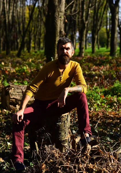 Doğa arka plan üzerinde emin yüzü olan adam.