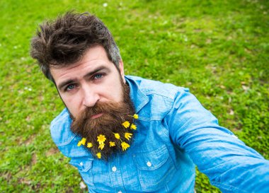 Küçük kırlangıçotu çiçeklerle selfie fotoğrafta sakallı adam. Hippi sakin yüz selfie fotoğraf çekiyorum. Sakallı Bahar, yeşil çayır arka plan, defocused sahiptir. Doğal güzellik kavramı