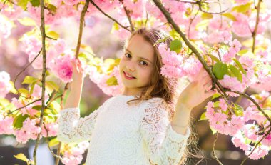 Defocused çiçekli sakura dalları arasında yüz duran gülümseyerek kıza. Uzun saçları açık, kiraz çiçeği arka plan üzerinde olan kız. Şirin çocuk Doğa bahar sabahı keyfini çıkarın. Bahar çiçekleri kavramı