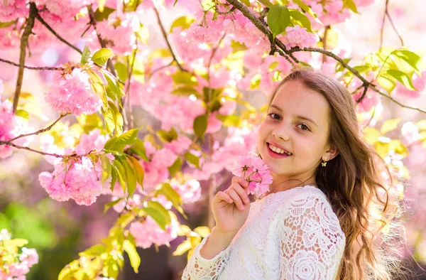 Flicka på leende ansikte står nära sakura blommor, oskärpa. Söta barn njuta av doften av sakura vårdag. Parfym och fragrance-konceptet. Tjej med långt hår utomhus, cherry blossom på bakgrund — Stockfoto