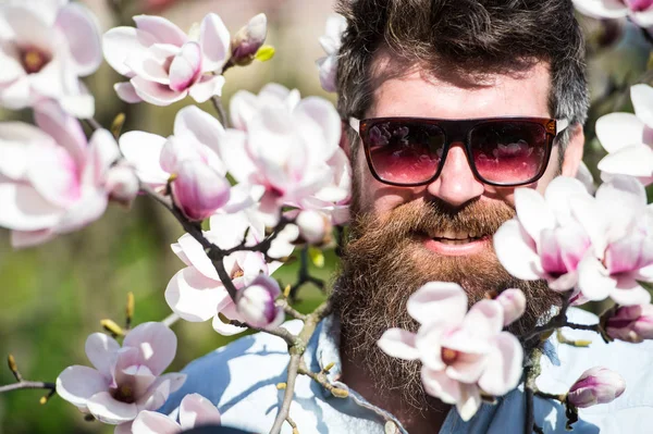 Homme à la barbe et à la moustache porte des lunettes de soleil le jour ensoleillé, des fleurs de magnolia sur fond. Guy a l'air cool avec des lunettes de soleil élégantes. Concept de mode. Hipster heureux avec des lunettes de soleil à la mode — Photo