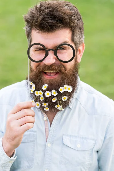 Homem com barba comprida e bigode, fundo verde desfocado. Hipster com barba no rosto alegre, posando com óculos. Conceito de primavera. Cara parece bem com flores de margarida ou camomila na barba — Fotografia de Stock