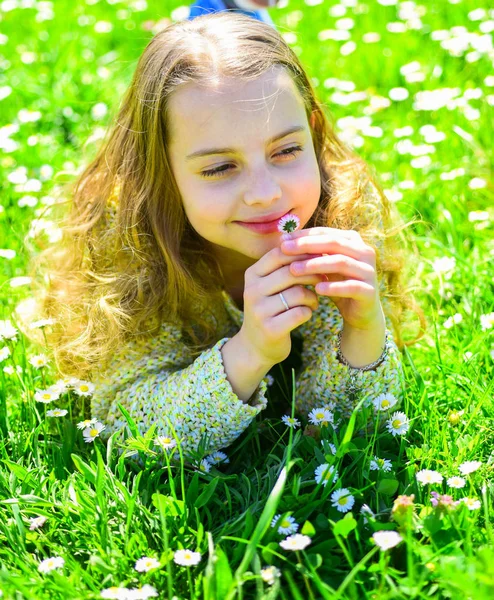 背景に草地の草の上に横たわる少女。感度の概念。子は、デイジーの花と草原に横たわっている間春の天候の良い日をお楽しみください。笑顔の女の子、デイジーの花を保持して香りの手引き — ストック写真