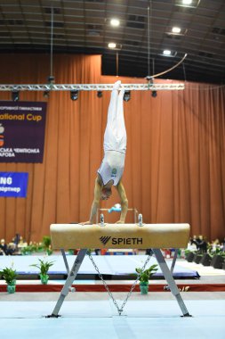 Kiev. Ukrayna-Nisan 1, 2017: Stella Zakharova artistik jimnastik Ukrayna Uluslararası Kupası sırasında kulplu beygir üzerinde performans erkek jimnastikçi