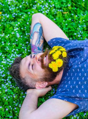 Sakal karahindiba çiçeklerle sakallı adam çayır, çimen arka plan üzerinde yatıyordu. Hippi sakal rahatlatıcı dandelions buket. Tazelik kavramı. Sakal ve bıyık yüz gülümseyen üzerinde olan adam