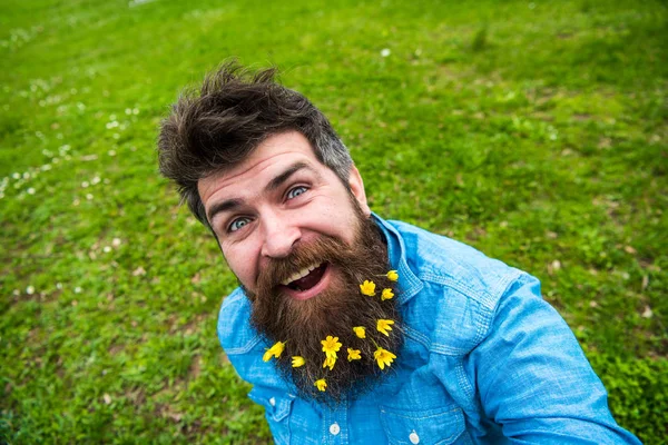 Hipster on happy face sits on grass, defocused. Man with beard enjoys spring, green meadow background. Guy with lesser celandine flowers in beard taking selfie photo. Natural beauty concept — Stock Photo, Image
