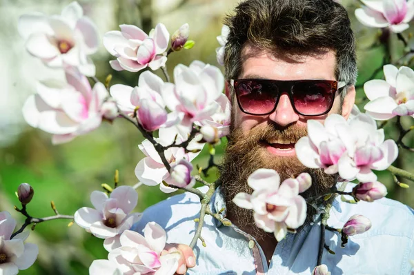 Hipster happy with fashionable sunglasses. Man with beard and mustache wears sunglasses on sunny day, magnolia flowers on background. Guy looks cool with stylish sunglasses. Fashion concept