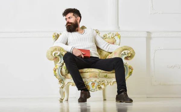Kännare av litteratur koncept. Macho tillbringar fritid med bok. Mannen med skägg och mustasch sitter på fåtölj och läsning, vit vägg bakgrund. Connoisseur, tankeväckande ansiktet njuta av litteratur — Stockfoto