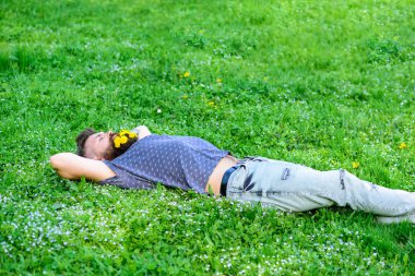 Sakal karahindiba çiçeklerle sakallı adam çayır, çimen arka plan üzerinde yatıyordu. Hippi sakal rahatlatıcı dandelions buket. Sakallı yüzü uyku üzerinde bahar tadını çıkarın. Bahar kavramı