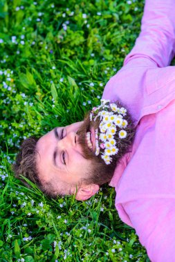 Papatya çiçekler ile sakallı adam grassplot, çim arka plan üzerinde yatıyordu. Hippi sakal rahatlatıcı papatyalar buket. Doğa kavramı ile birleştirmek. Sakallı yüzü gülen üzerinde zevk doğa