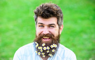 İle adam sakal ve bıyık zevk bahar, yeşil çayır arka plan. Erkeklik kavramı. Hippi mutlu gülümseyen yüzü, yeşil arka plan üzerinde kopya alanı. Sakal papatya veya papatya çiçekleri ile adam