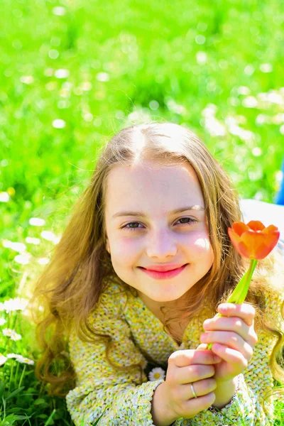 笑顔の女の子が赤いチューリップの花を保持して、香りをお楽しみください。若さと屈託のない概念。背景に草地の草の上に横たわる少女。子供が花と草原に横たわっている間春の晴れた日を楽しむ — ストック写真